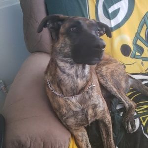 Meet your Posher, Mitzi